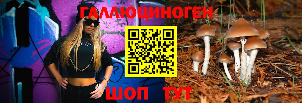 Галлюциногенные грибы Magic Shrooms  Галлюциногенные грибы Cubensis  Вход с VPN  Кировск 